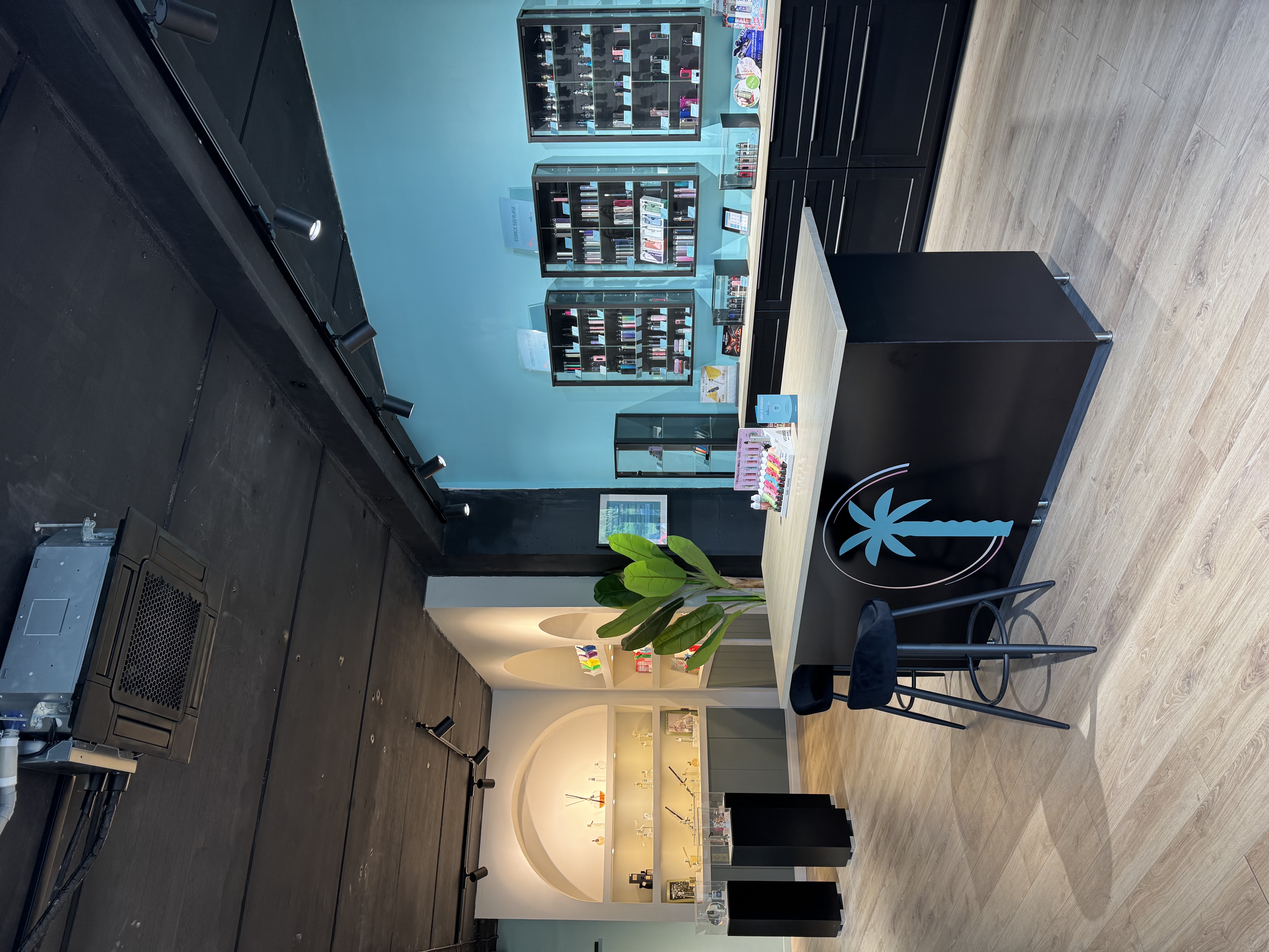 Boutique Palmeo Vape